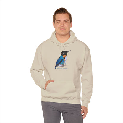 Bee Hummingbird Unisex Sweatshirt