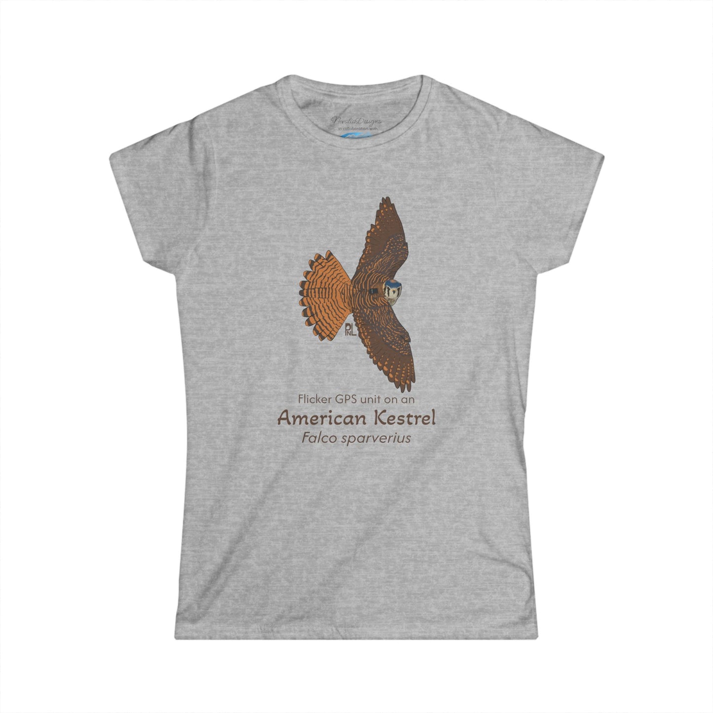 American Kestrel Women's T-Shirt