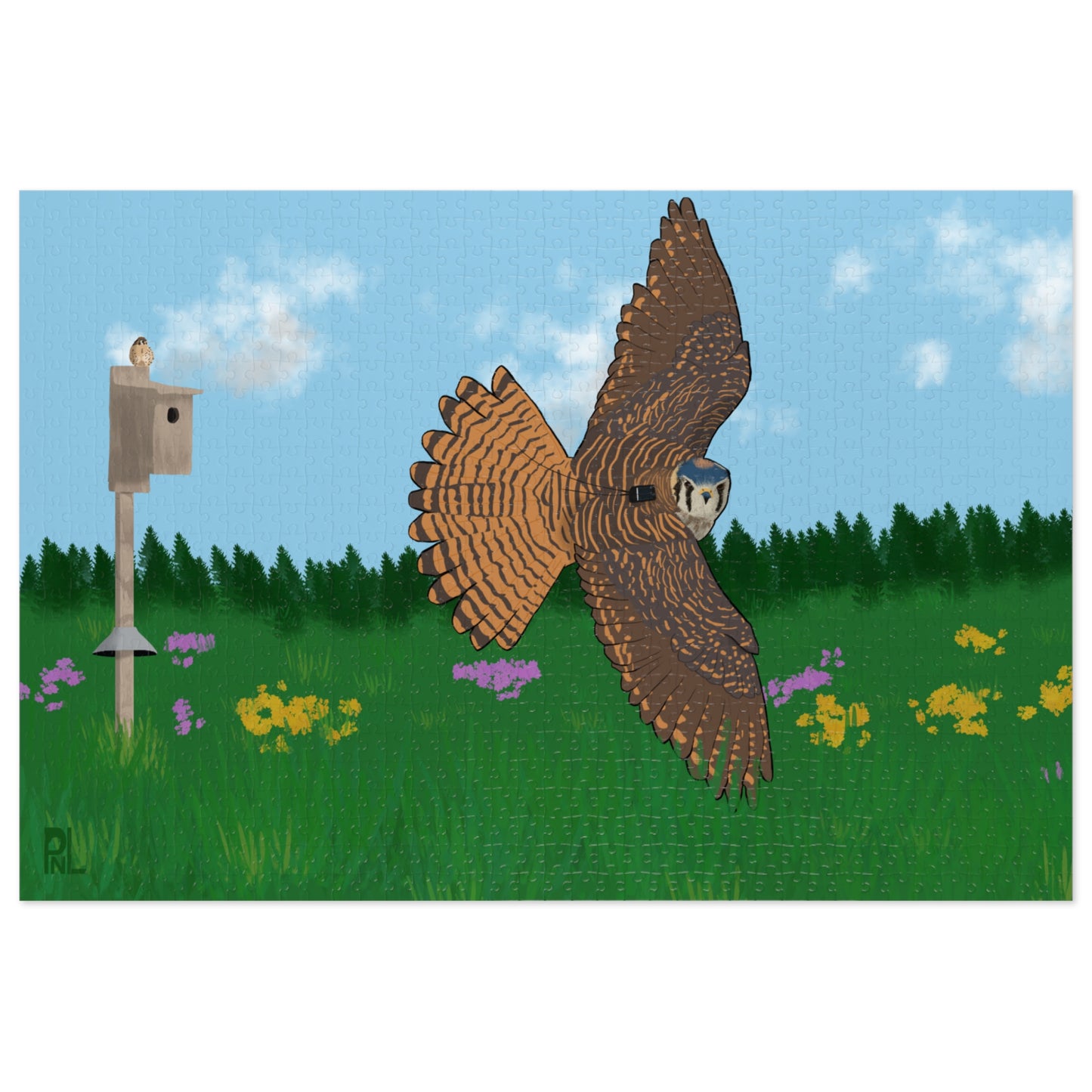 A large jigsaw puzzle with an American Kestrel flying over a field with flowers and a nest box with a blue sky and forest on white background