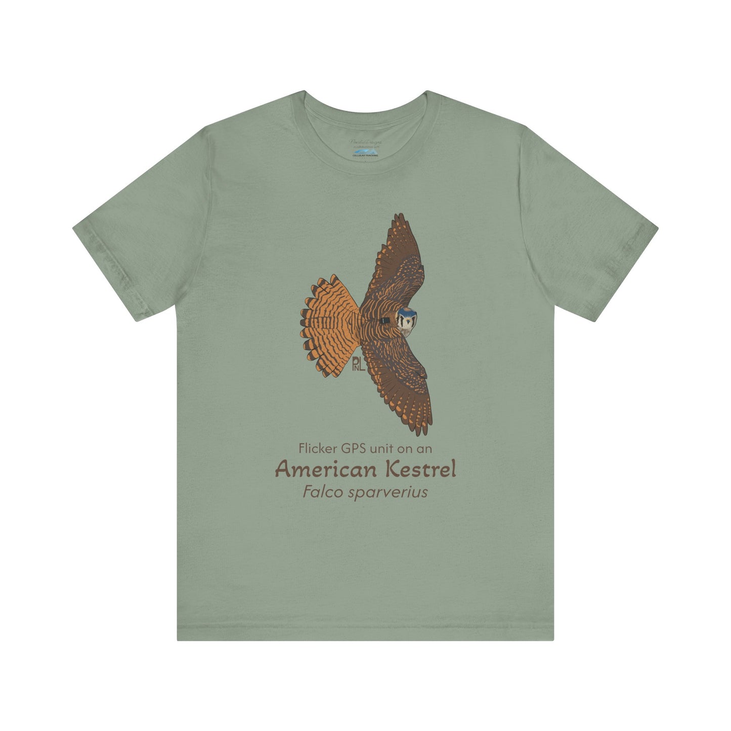 sage Green t-shirt with an American kestrel illustration and text on a white background