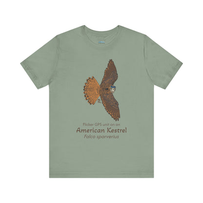 sage Green t-shirt with an American kestrel illustration and text on a white background