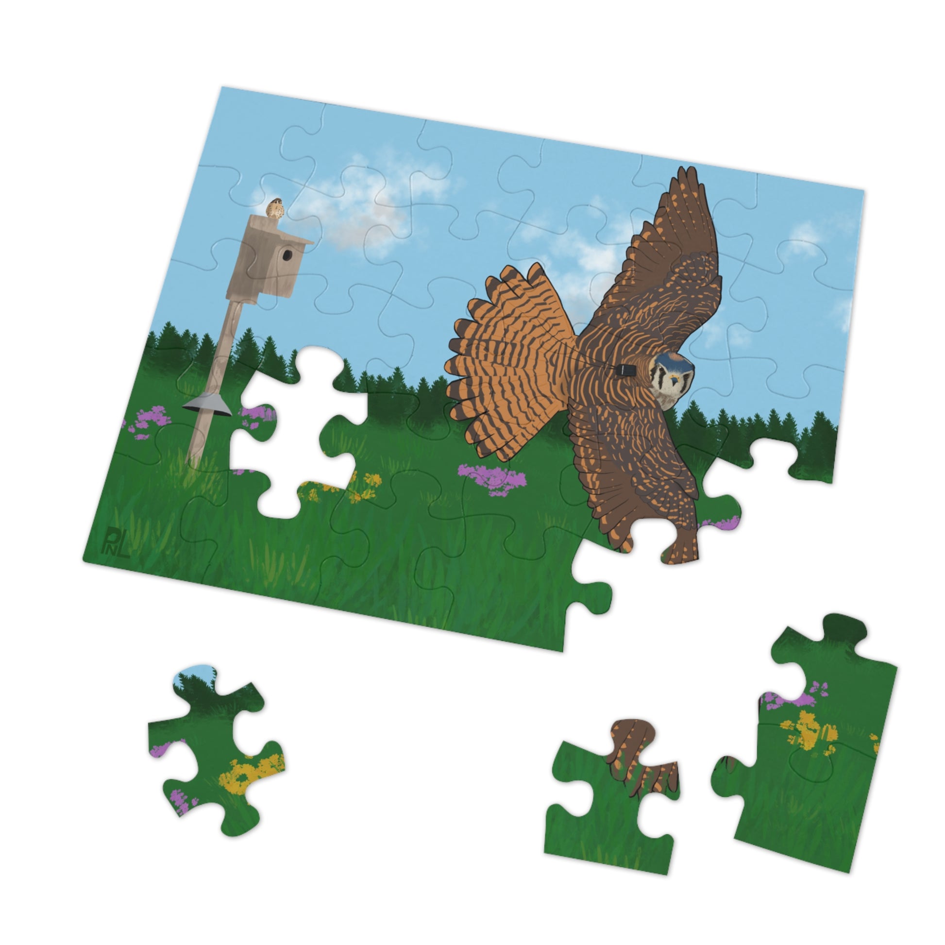 Children's puzzle with an American Kestrel flying over a field with flowers and a nest box with a blue sky and forest on white background
