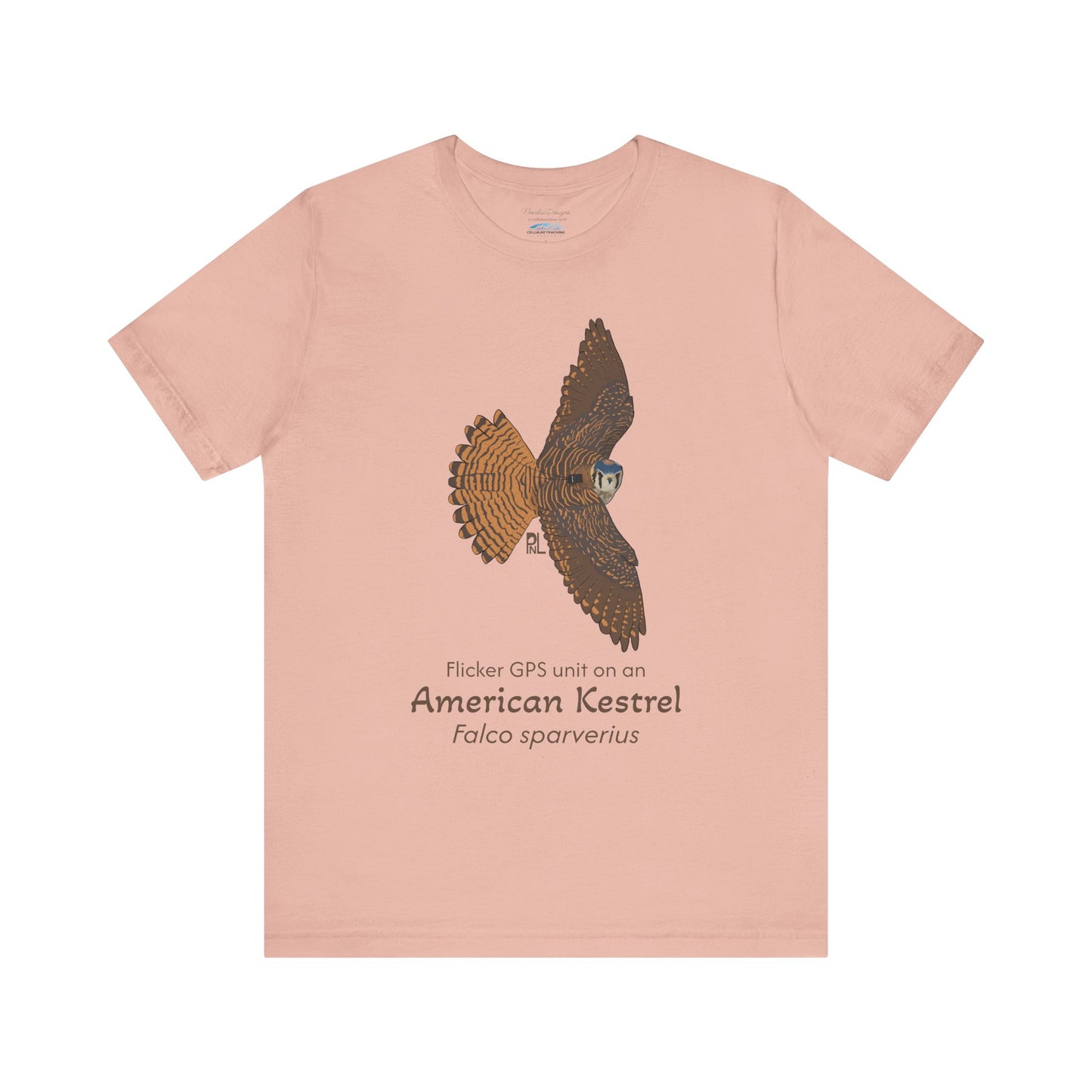light orange t-shirt with an American Kestrel illustration and text on a white background
