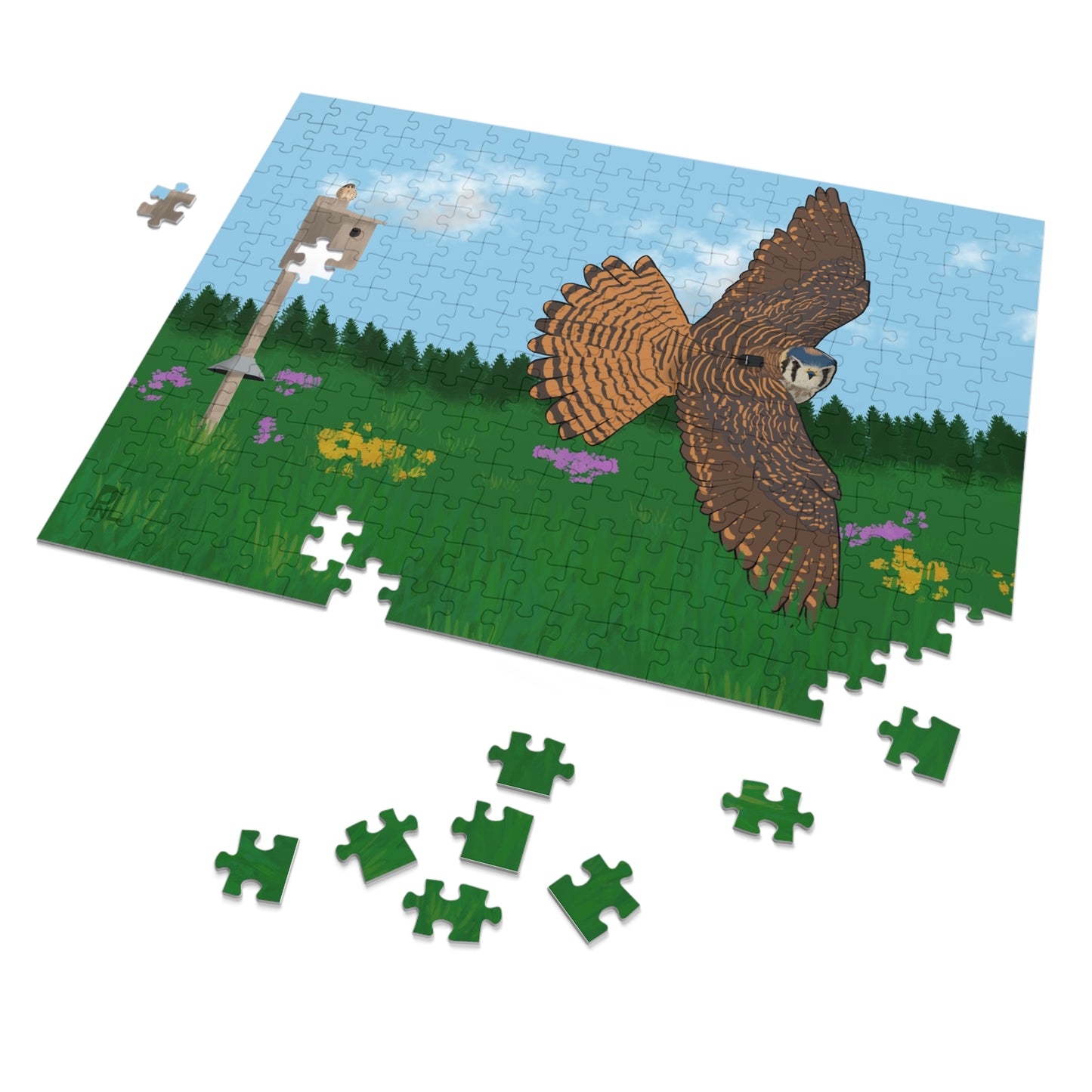 Jigsaw puzzle with an American Kestrel flying over a field with flowers and a nest box with a blue sky and forest on white background