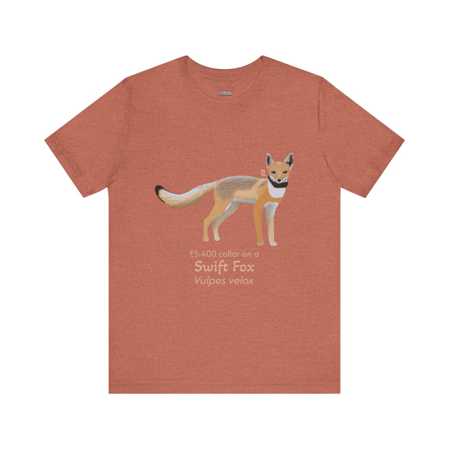 rusty orange t-shirt with a swift fox illustration and text on a white background