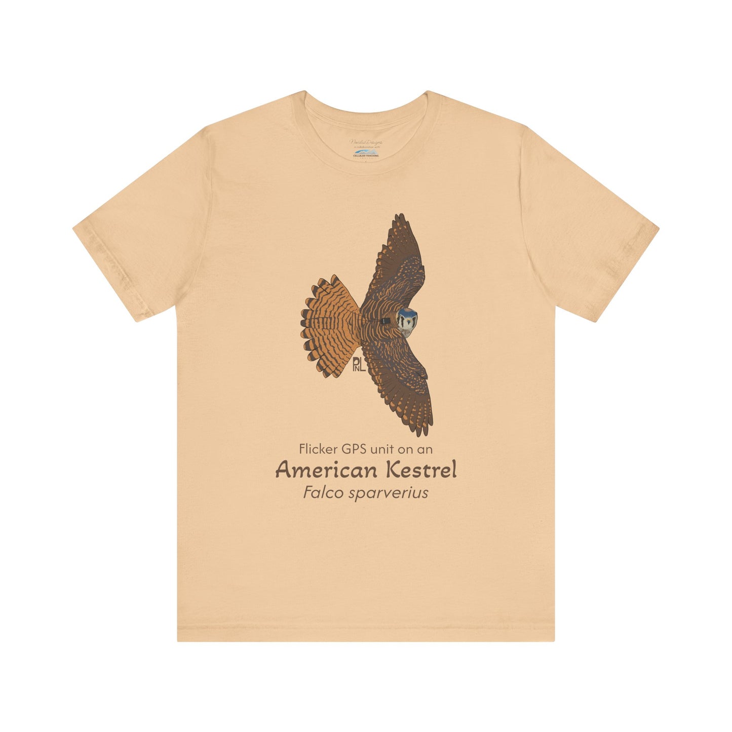 light yellow t-shirt with an American Kestrel illustration and text on a white background