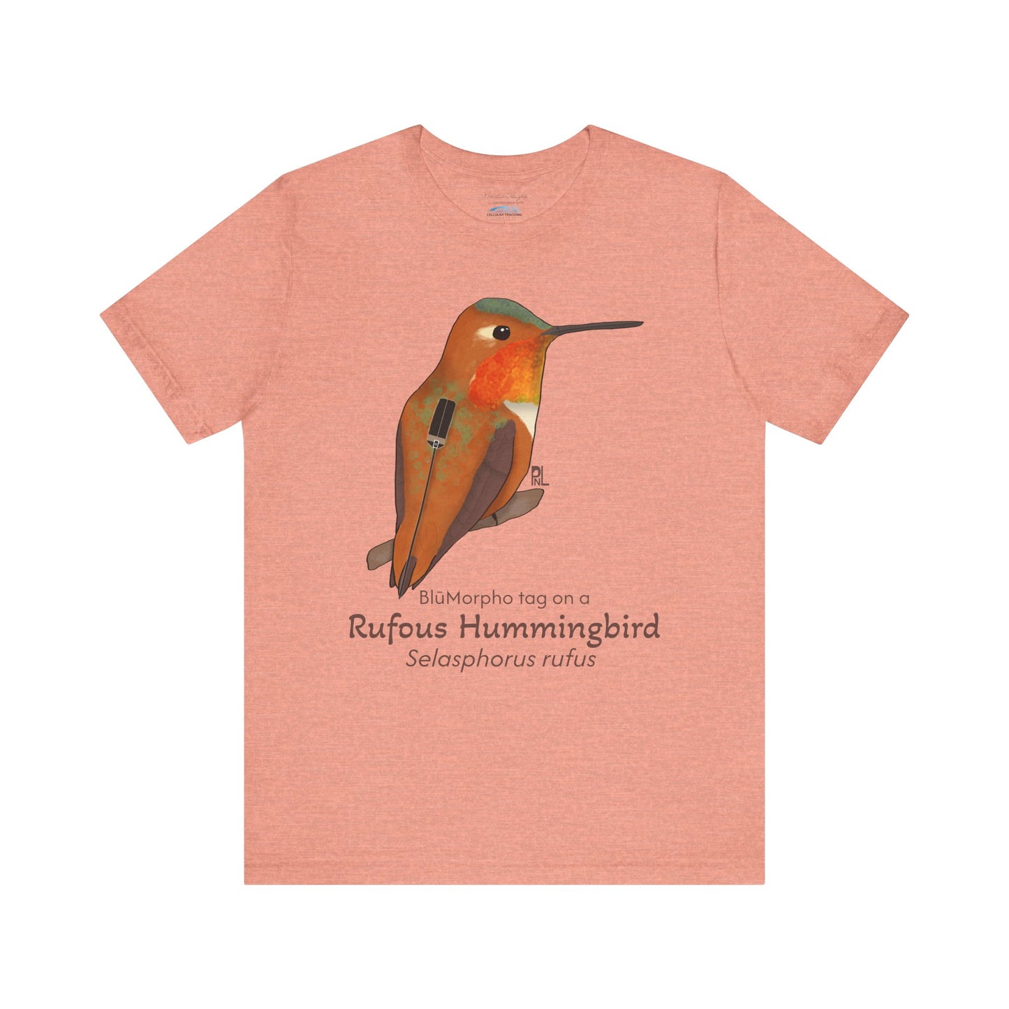 Peach-colored t-shirt with a Rufous Hummingbird illustration and text on a white background