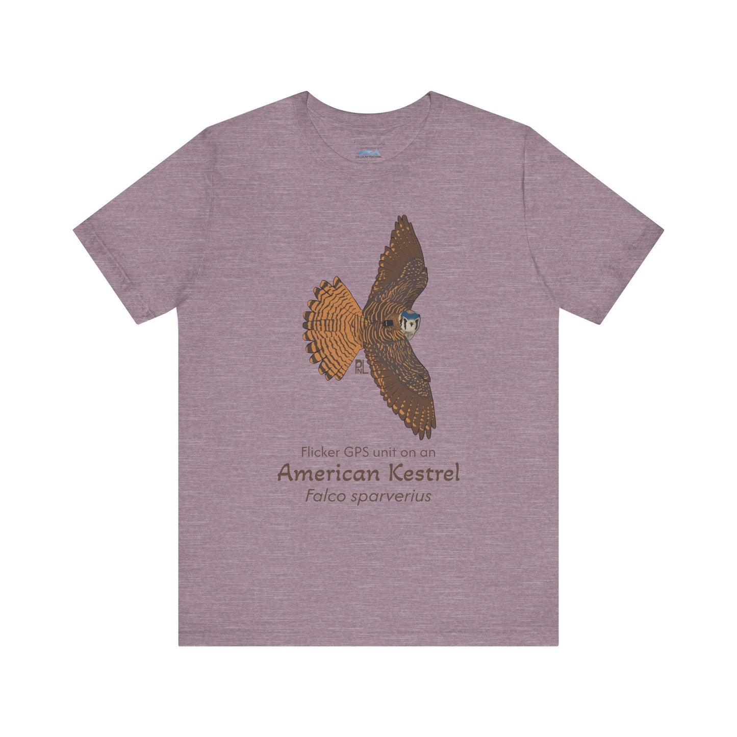 light Purple t-shirt with an American Kestrel illustration and text on a white background