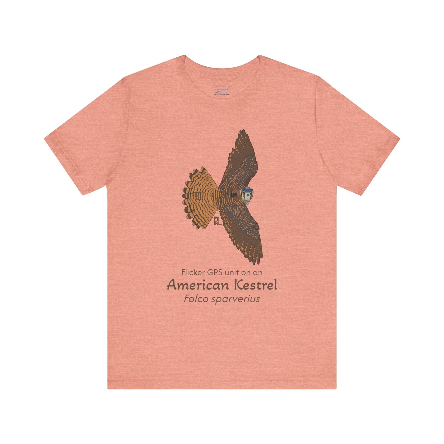 light orange t-shirt with an American Kestrel illustration and text on a white background