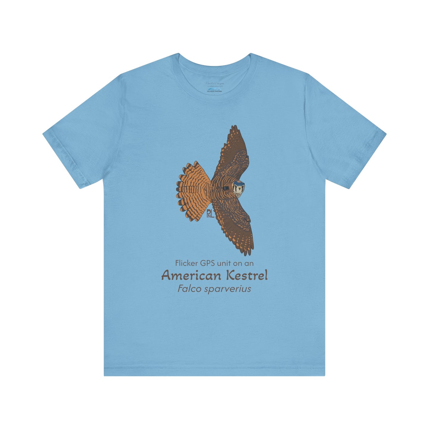 Light blue t-shirt with an American kestrel illustration and text on a white background