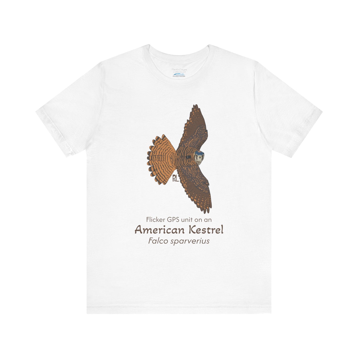 White t-shirt with an American kestrel illustration and text on a white background