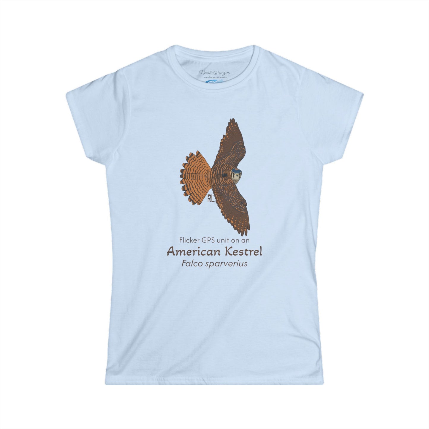 American Kestrel Women's T-Shirt