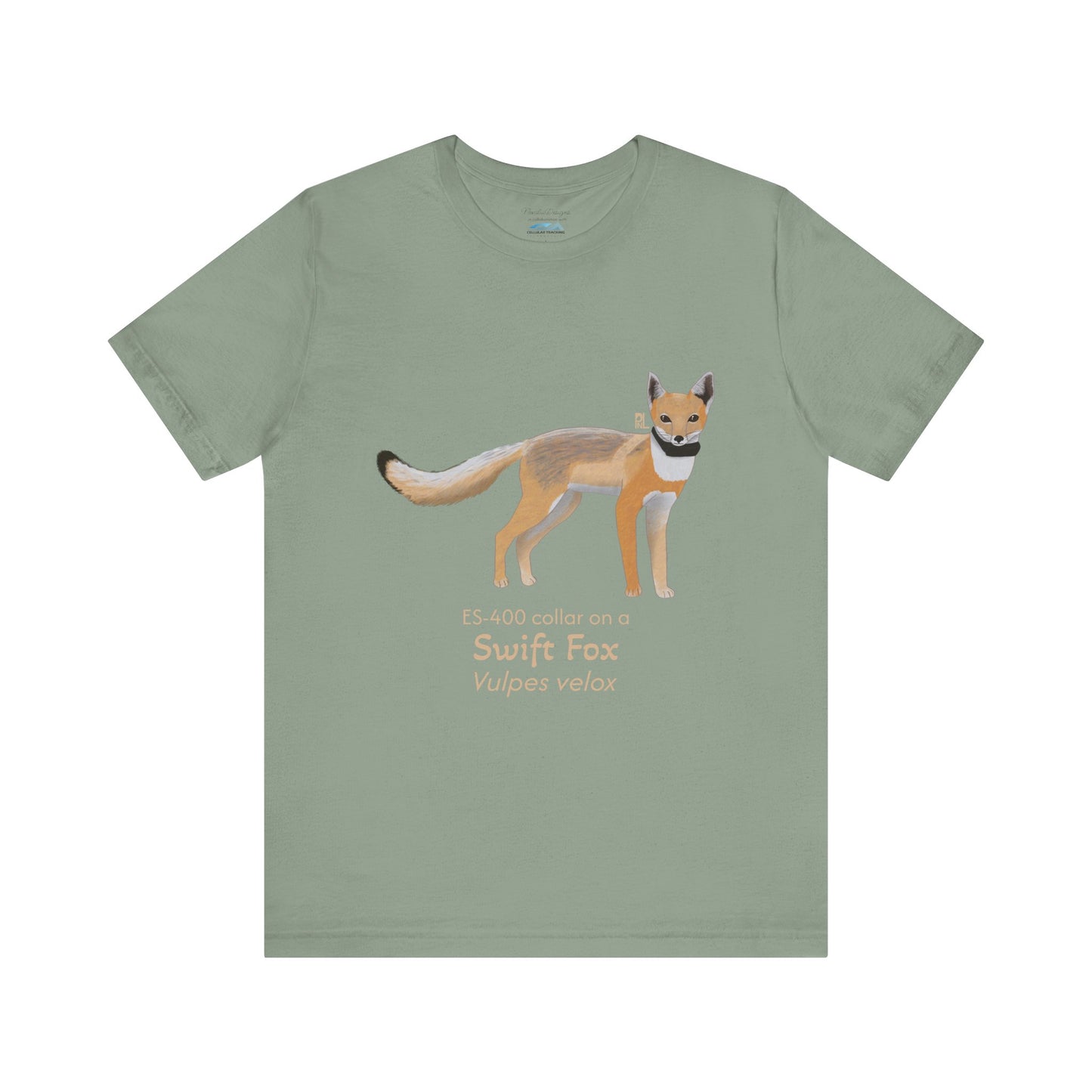 sage Green t-shirt with a swift fox illustration and text on a white background