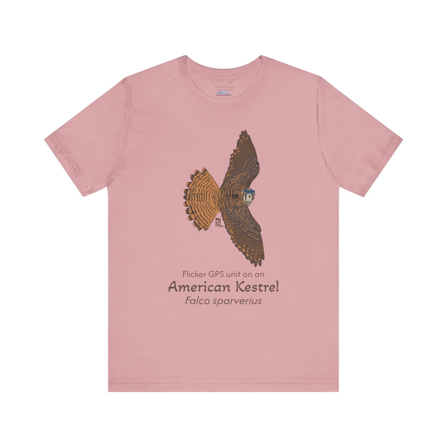 light Pink t-shirt with an American Kestrel illustration and text on a white background