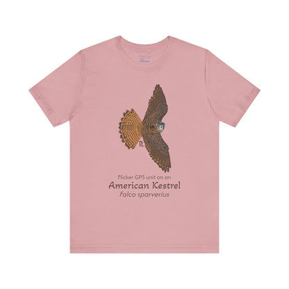 light Pink t-shirt with an American Kestrel illustration and text on a white background