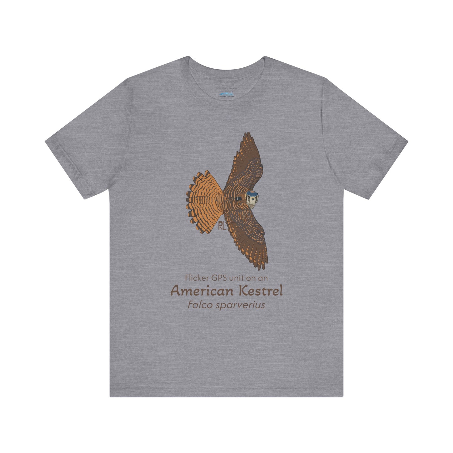 Gray t-shirt with an American Kestrel illustration and text on a white background