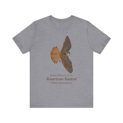 Gray t-shirt with an American Kestrel illustration and text on a white background