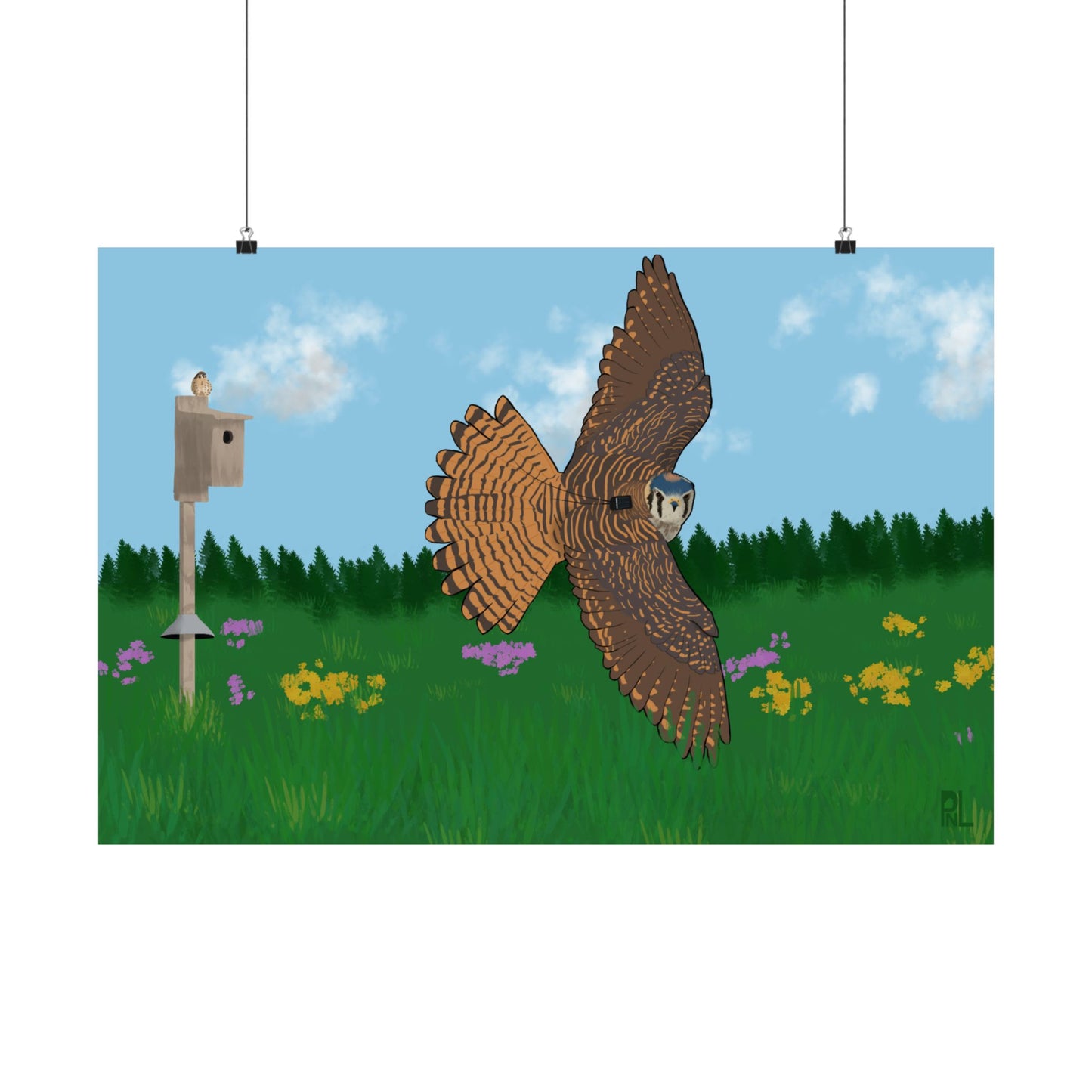 a poster of an American Kestrel flying over a field with flowers and a nest box with a blue sky and forest, hanging from black string on white background