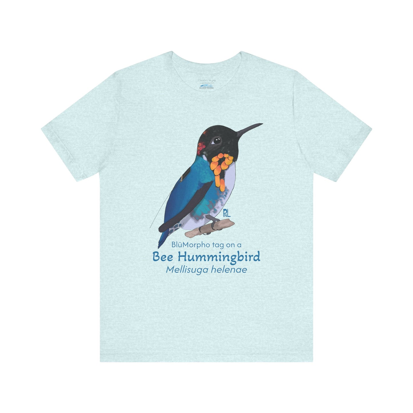 Light blue t-shirt with a colorful bee hummingbird illustration and text on a white background